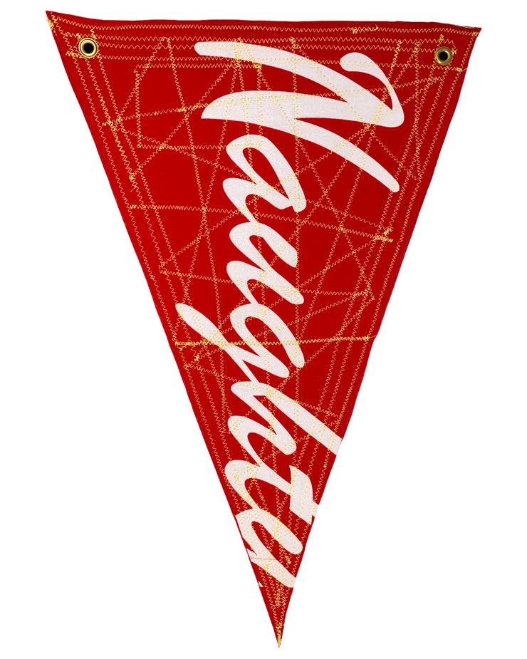 NAUGHTY NICE PENNANT